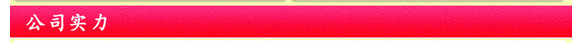 公司實力
