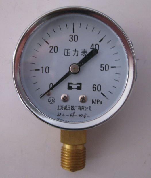 热销压力表 Y60型 中压 2.5级