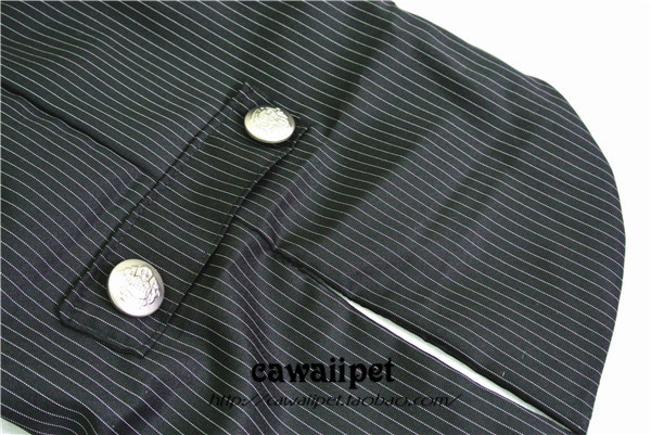 Suit 24