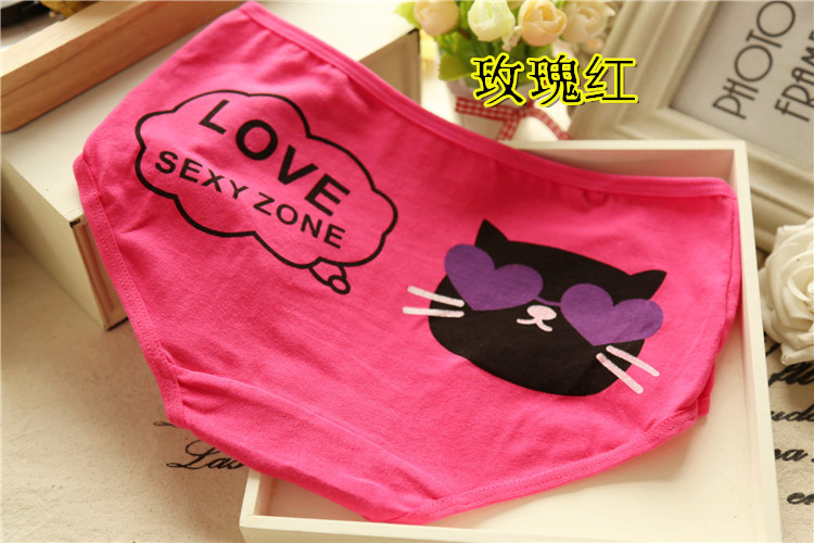 Slip jeunesse minou en coton - Ref 653285 Image 13