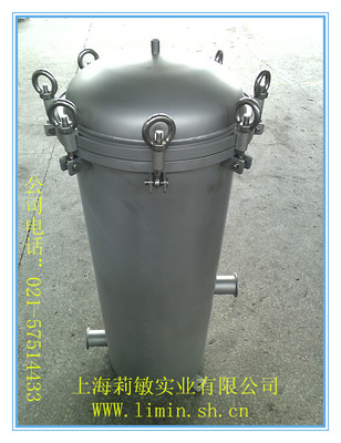 Hayley supply hygiene 304 316L Stainless steel Single bag filter Stainless steel filter