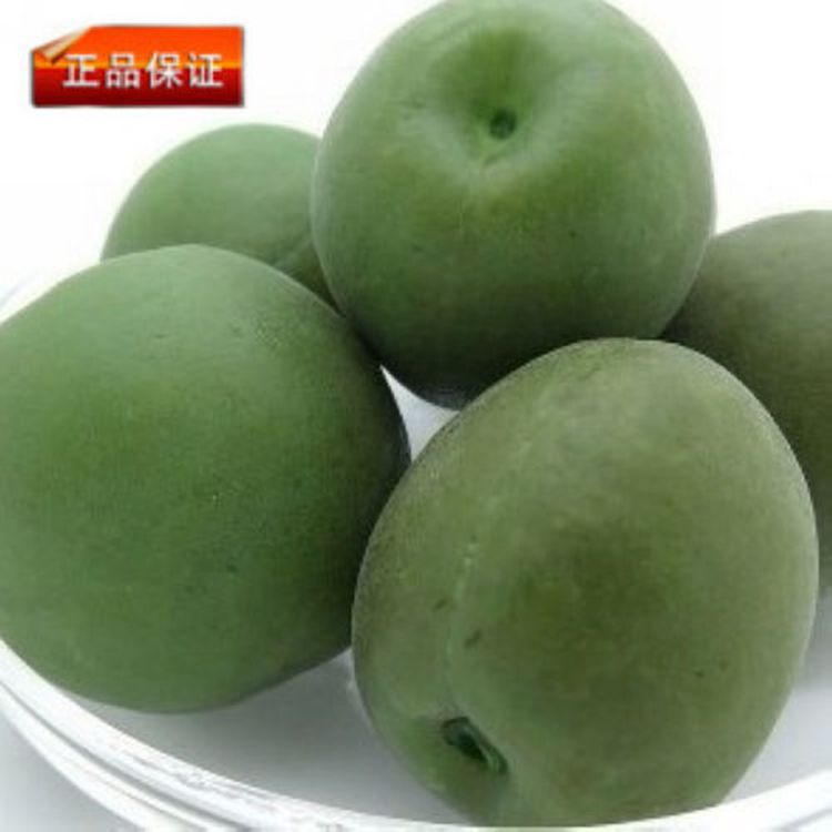 新货青梅鲜果梅子青口梅 独立装梅蜜饯零食食品 5斤