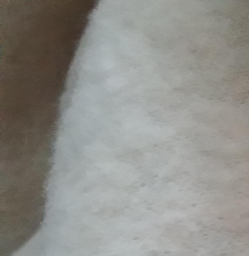 供应各种规格的针织50%棉50%羊毛法式罗文拉毛布 高档仿毛面料