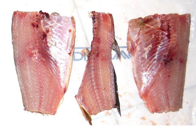 供应全自动鱼类加工流水线自动送料排序去头去尾去脏开片一体机