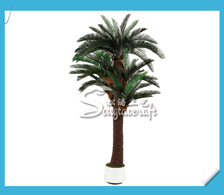 蘇鐵產(chǎn)品圖_04