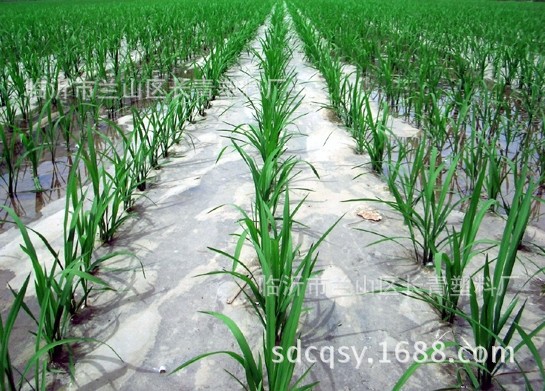 Vivero especial de EVA película de plástico anti-tracción anti-envejecimiento Bienvenido a comprar