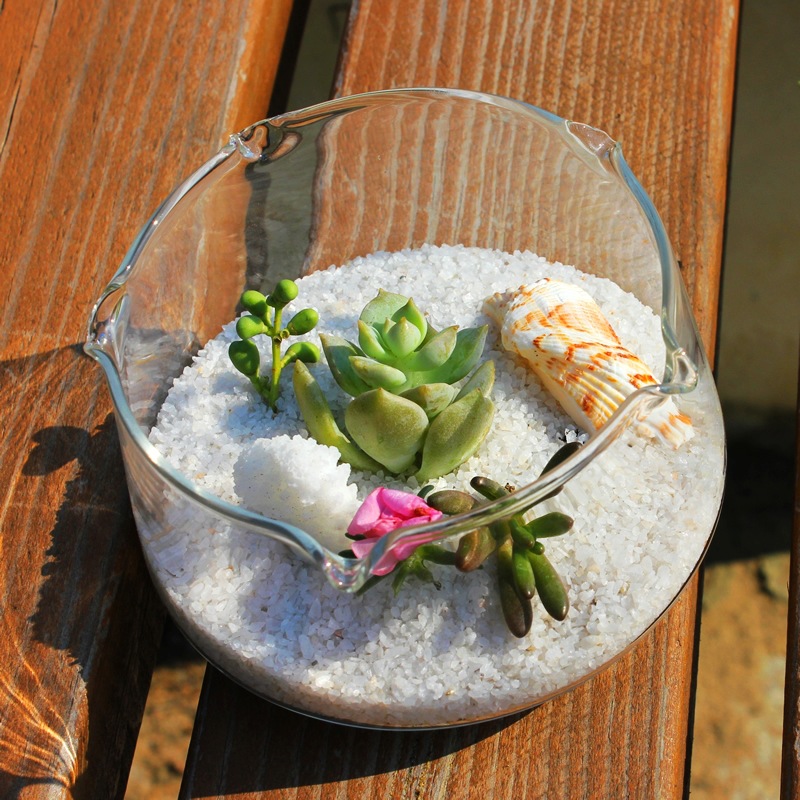 Florero de vidrio transparente con volantes florero suculento flor hidropónica Ware pastoral artesanía adornos