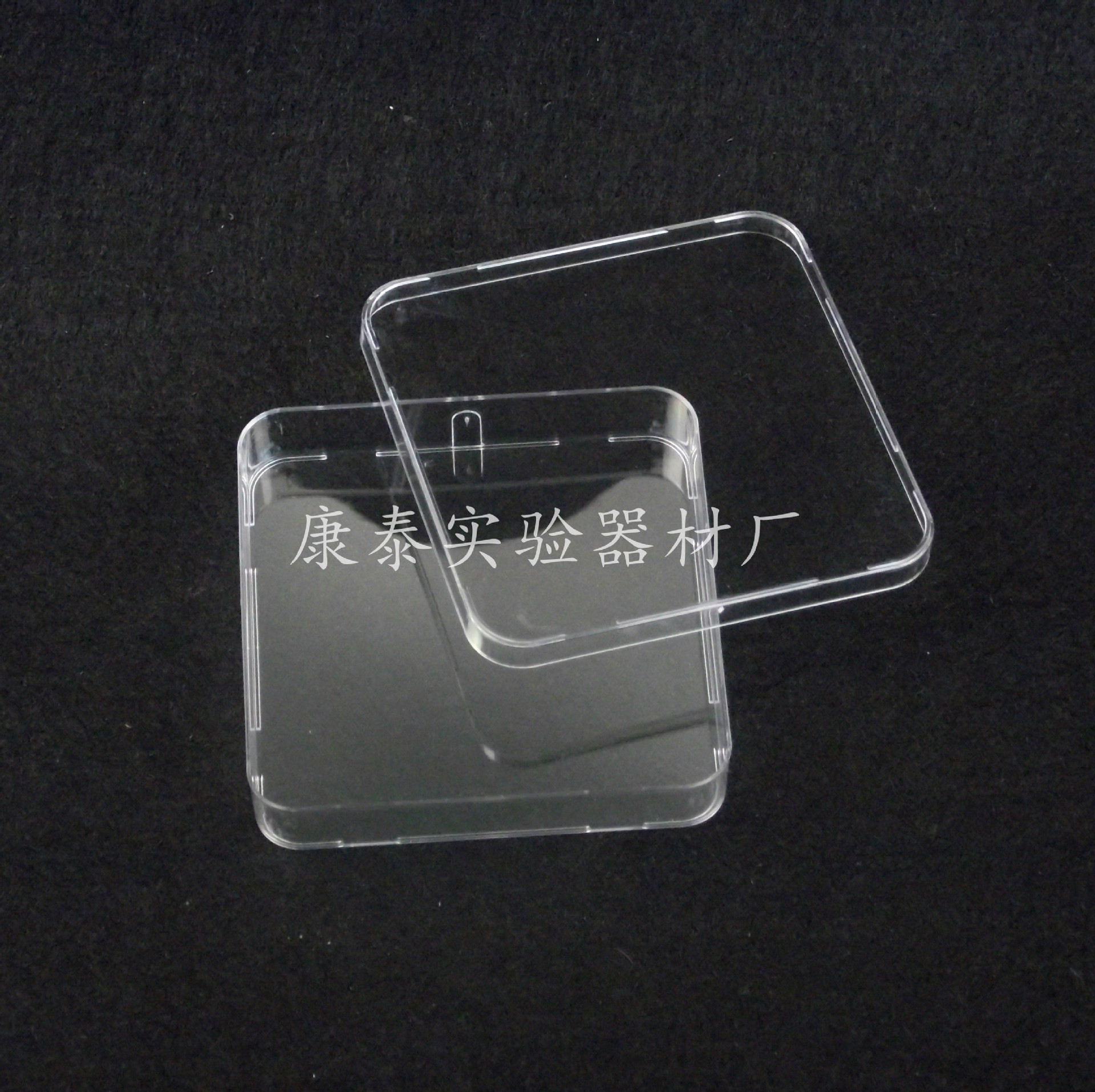 13cm*13cm 一次性方形塑料细菌细胞培养皿