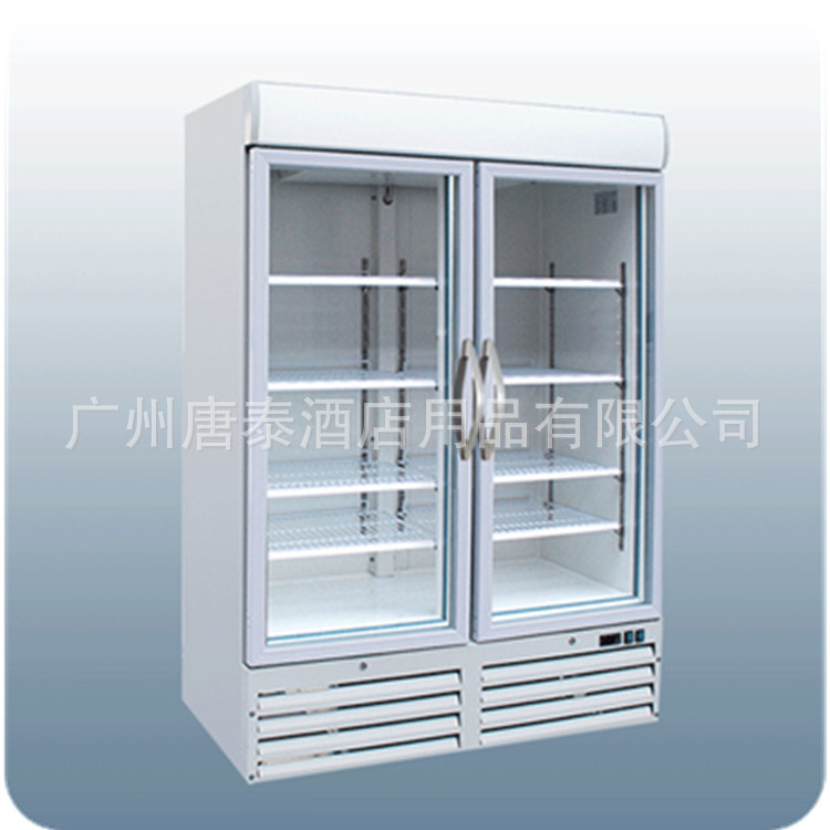 供应唐泰TONTILE立式风冷二玻璃门展示柜冷藏柜G930