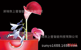 【】深圳哪里有动漫厂家，3D变动名片工厂制作