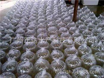 866843599_959864662[5]