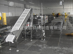 304材质分特棒洗料机（适用于葡萄、果丁异物与毛发的清洗）