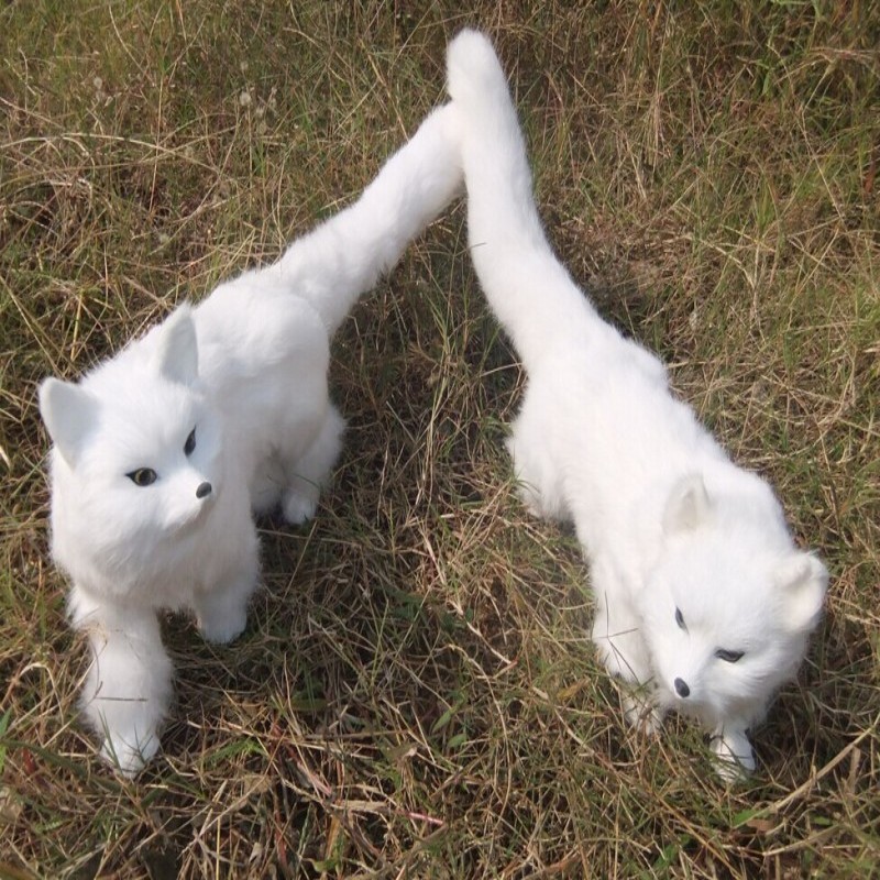 conew__conew1