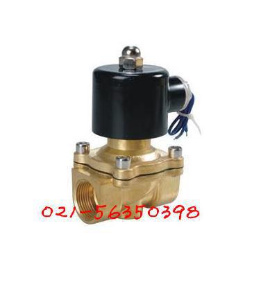 白湖电磁阀 ZCS 丝扣水用电磁阀 黄铜材质DN15-DN50热水器电磁式