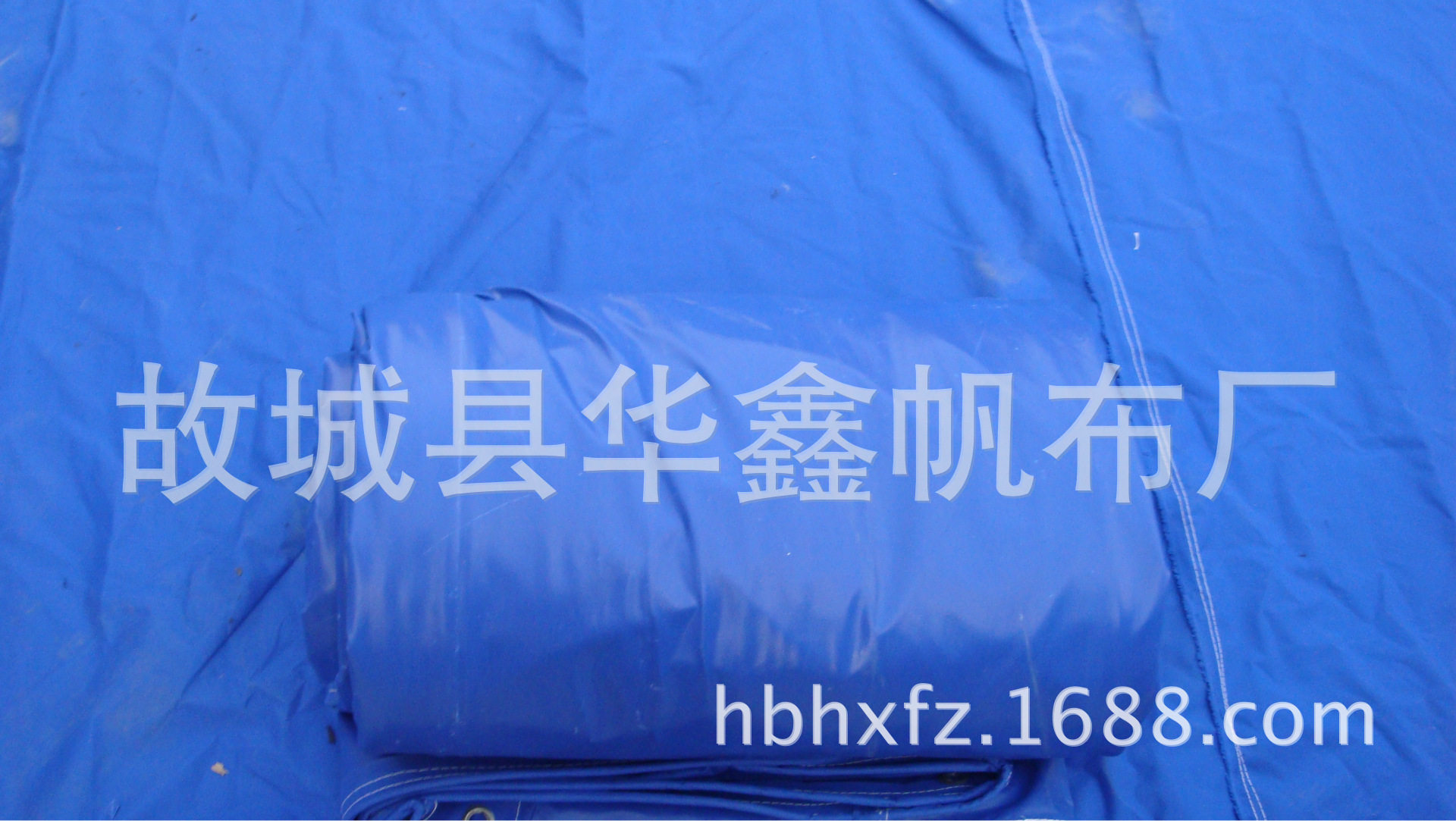 DSC03194
