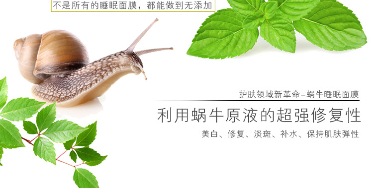 膏体面膜-蜗牛_17
