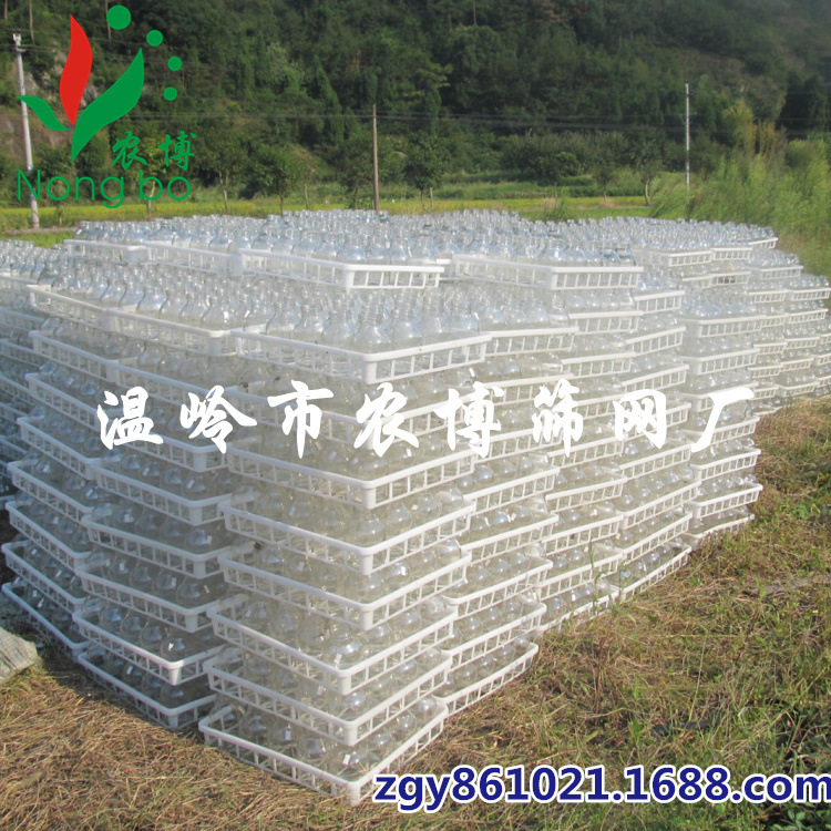 厂家生产组培周转筐 组培筐 周转筐 塑料周转箱（质量保证）