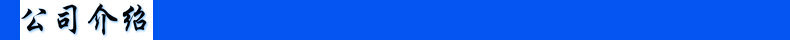 公司介绍