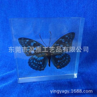 ͸����֬��ֲ�����x�˱��˹���������˱��|ݸ�г�ƽ��ˇƷ�S