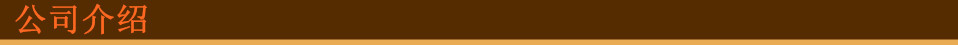 公司介紹