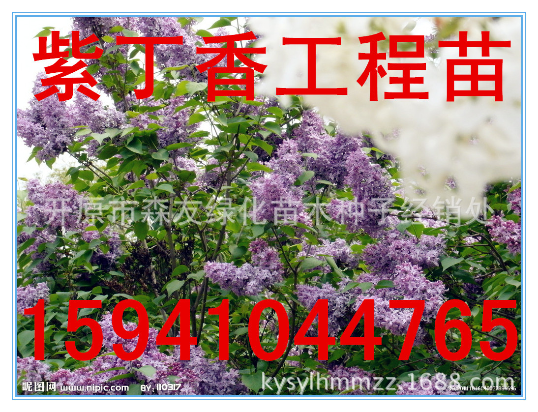 6948847_040027884696_2_副本