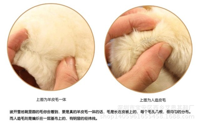 羊毛真假