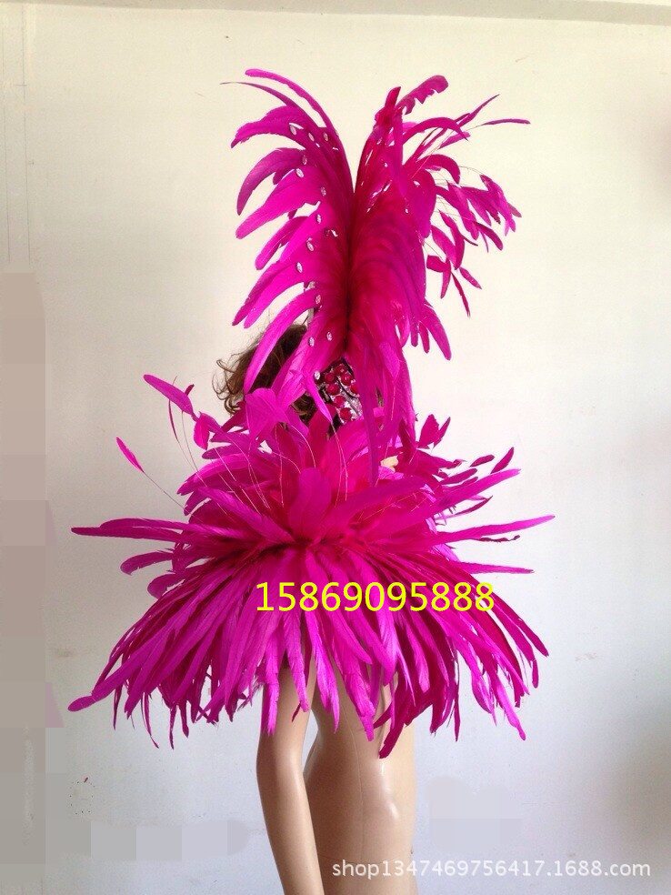 演出服裝羽毛裝飾