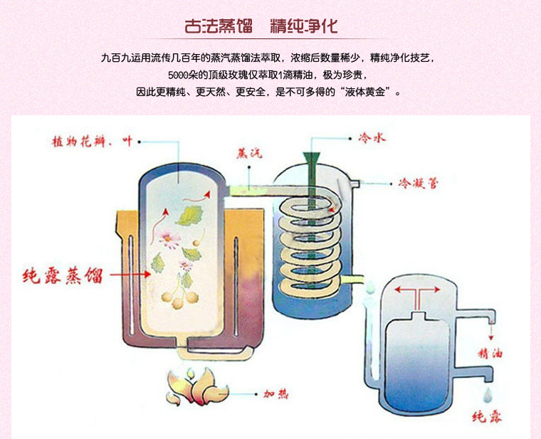 萃取工程图