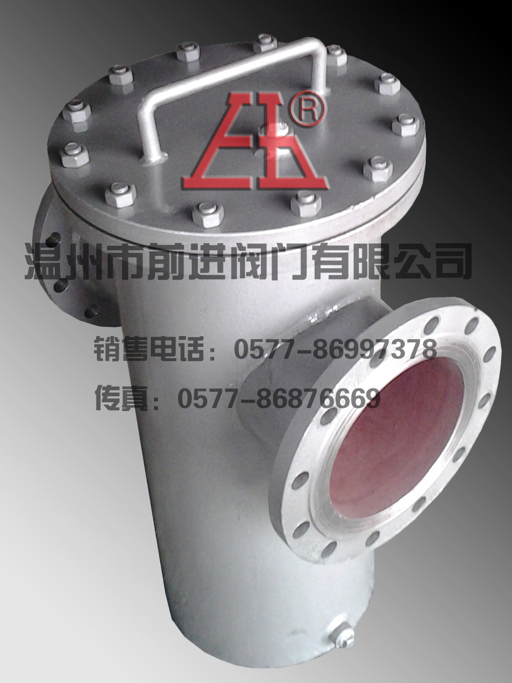 生产优质平行/上下式篮式过滤器