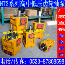 NT5油泵NB4/NT4/C80F/C100F/C125F/QT51直線共軛內嚙合齒輪泵D G