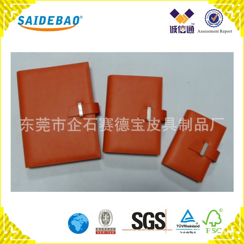 HG-1013A-_conew1