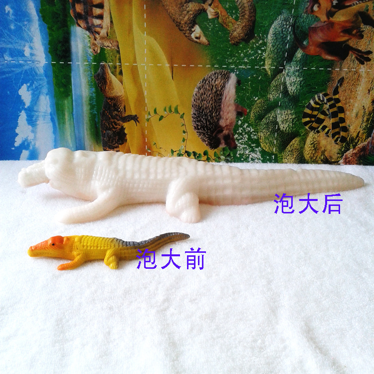 20140611_101416