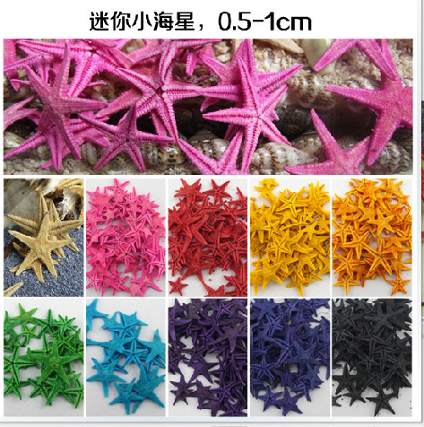 Micro scene personality DIY Classic clips colour Mini natural Small starfish Wishing bottle decoration