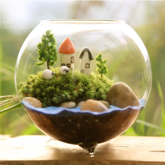 Jarrón de vidrio transparente tazón de peces de colores de vidrio tres pies florero suculento micro paisaje botella de musgo