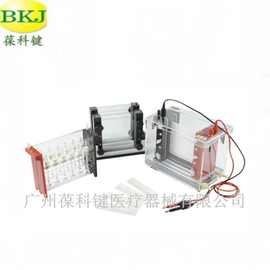 电泳槽 JY-SX3型电泳仪 实验室电泳实验垂直电泳仪 双向电泳槽