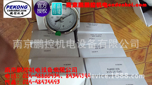 ASK压力表 OPG-AT-G14-6025MPa