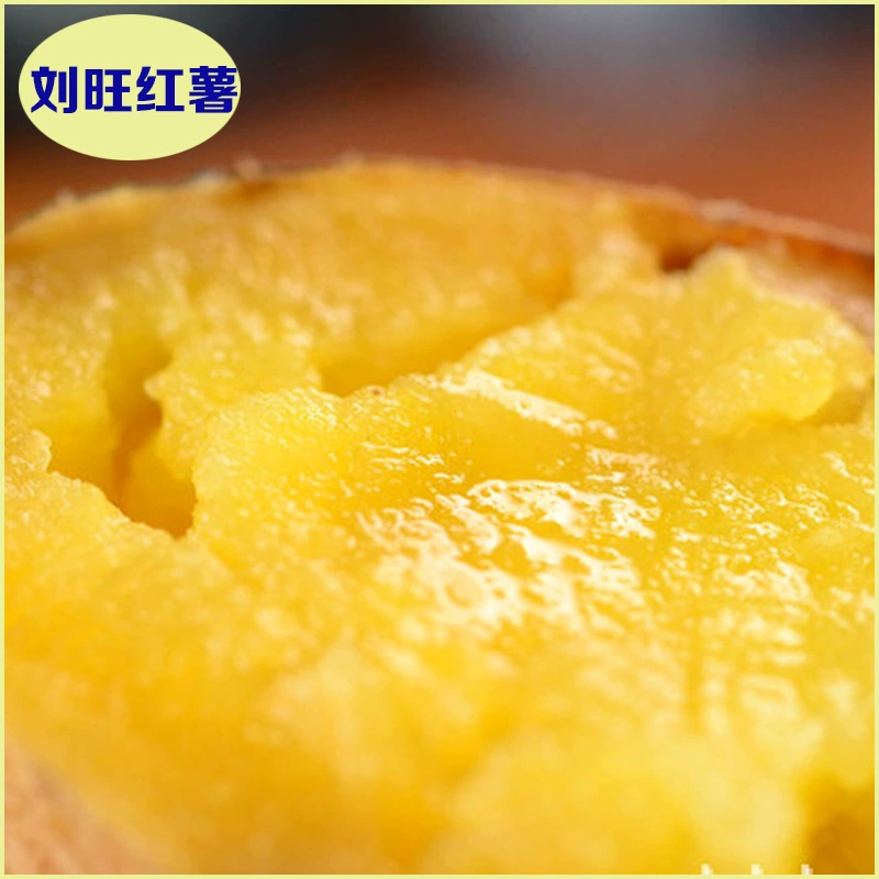 Xiongxian жареный сладкий картофель оптом желтое сердце жареный сладкий картофель сладкое углерод жареный сладкий картофель свежий цилиндр жареный сладкий картофель