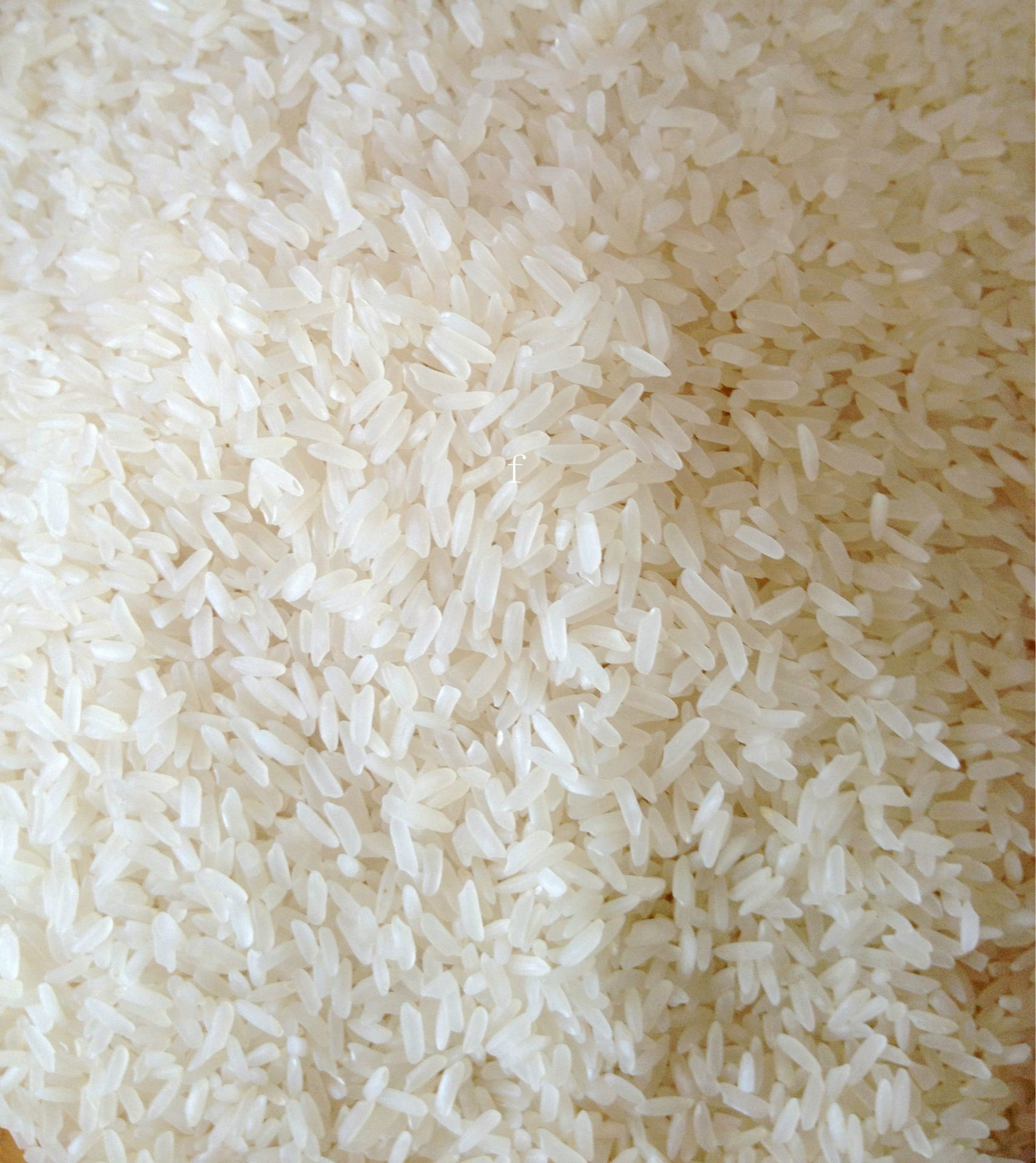 水稻大米摄影图高清摄影大图-千库网