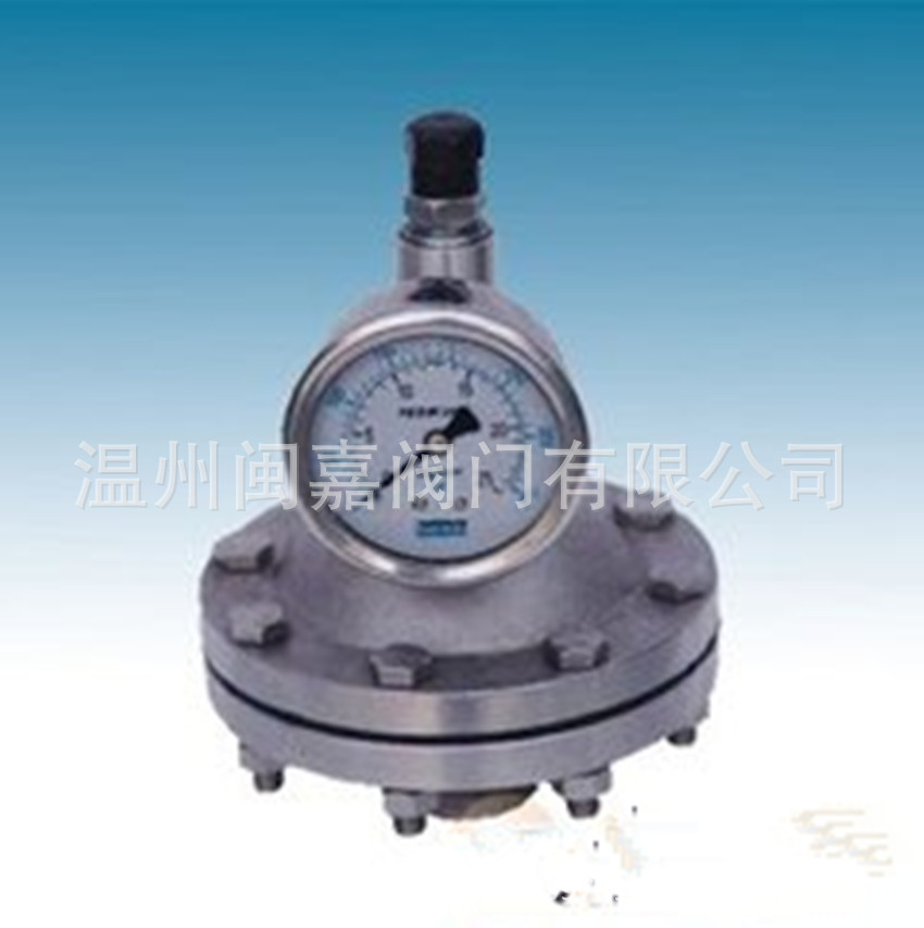 气囊式脉冲阻尼器 闽嘉牌脉冲阻尼器