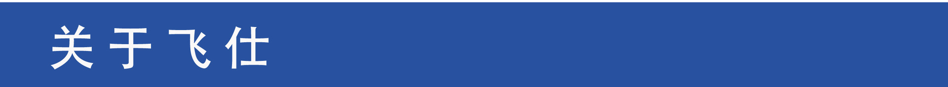 關于飛仕