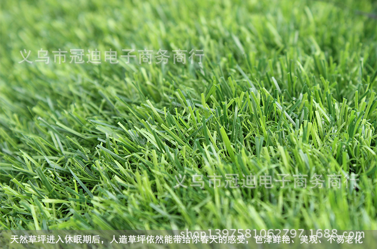 804加密春草2cm_06