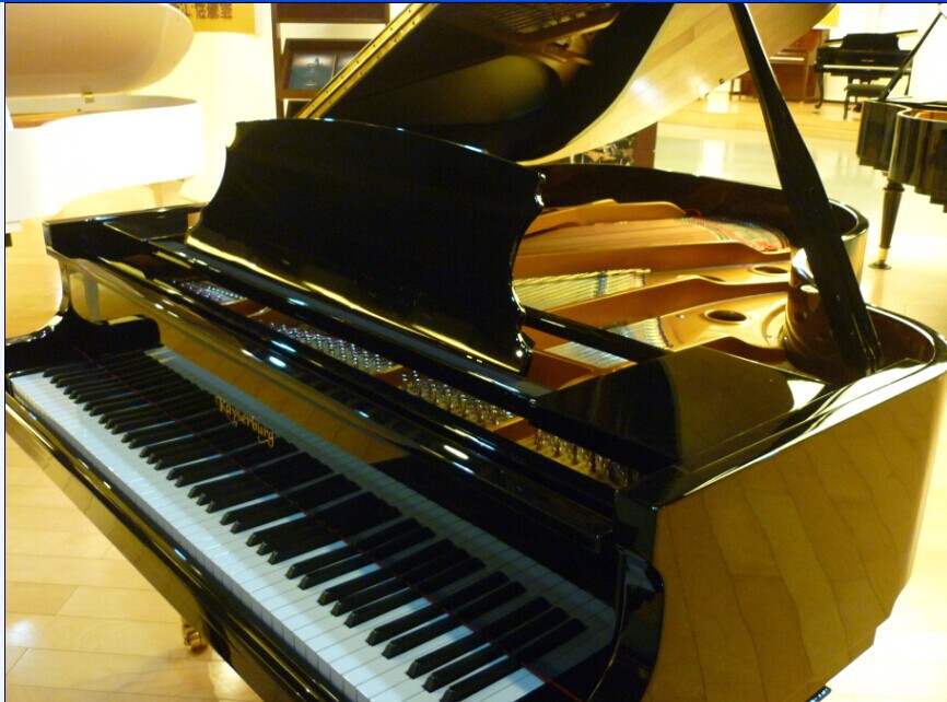 AAAAA珠江黑上身