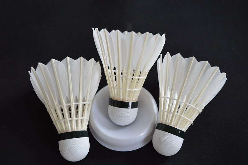 DSC_0077_看图王_副本