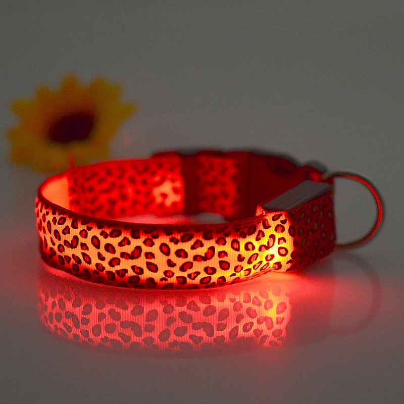 dog collar light