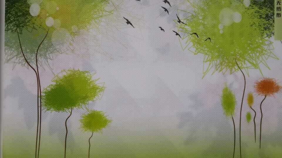 無紡佈實拍效果