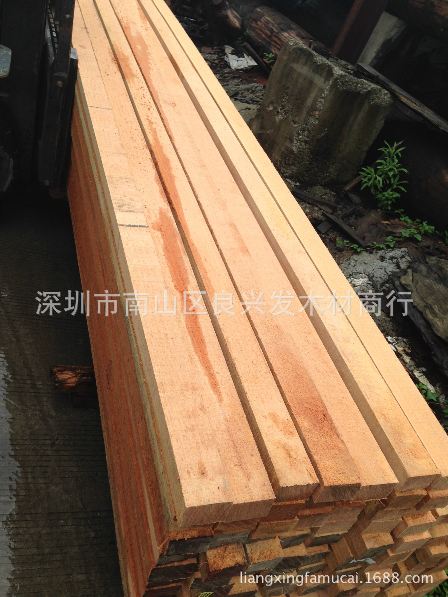 金笔,甘笔,甘巴豆