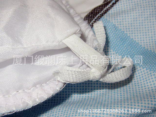 照片 164
