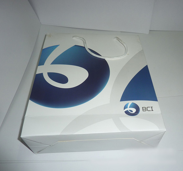 厂家销售胶印 环保袋  FG-101礼品袋