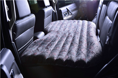 車載充氣床小車用後排充氣床車睡床戶外旅行床SUV通用兒童旅行床