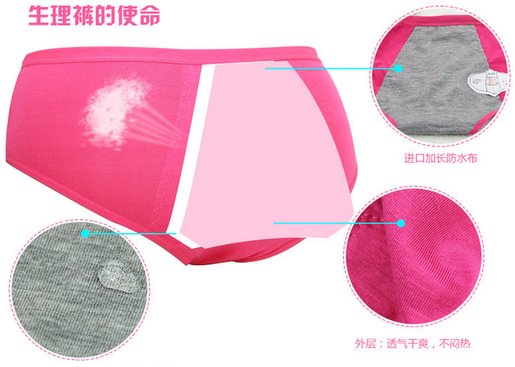 Slip pantalons physiologiques, coton,  en autre - Ref 655381 Image 15